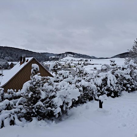 Sauerland-Tinyworld - Ihr Tiny Ferienhaus Im Sauerland Am Diemelsee Eksteriør billede