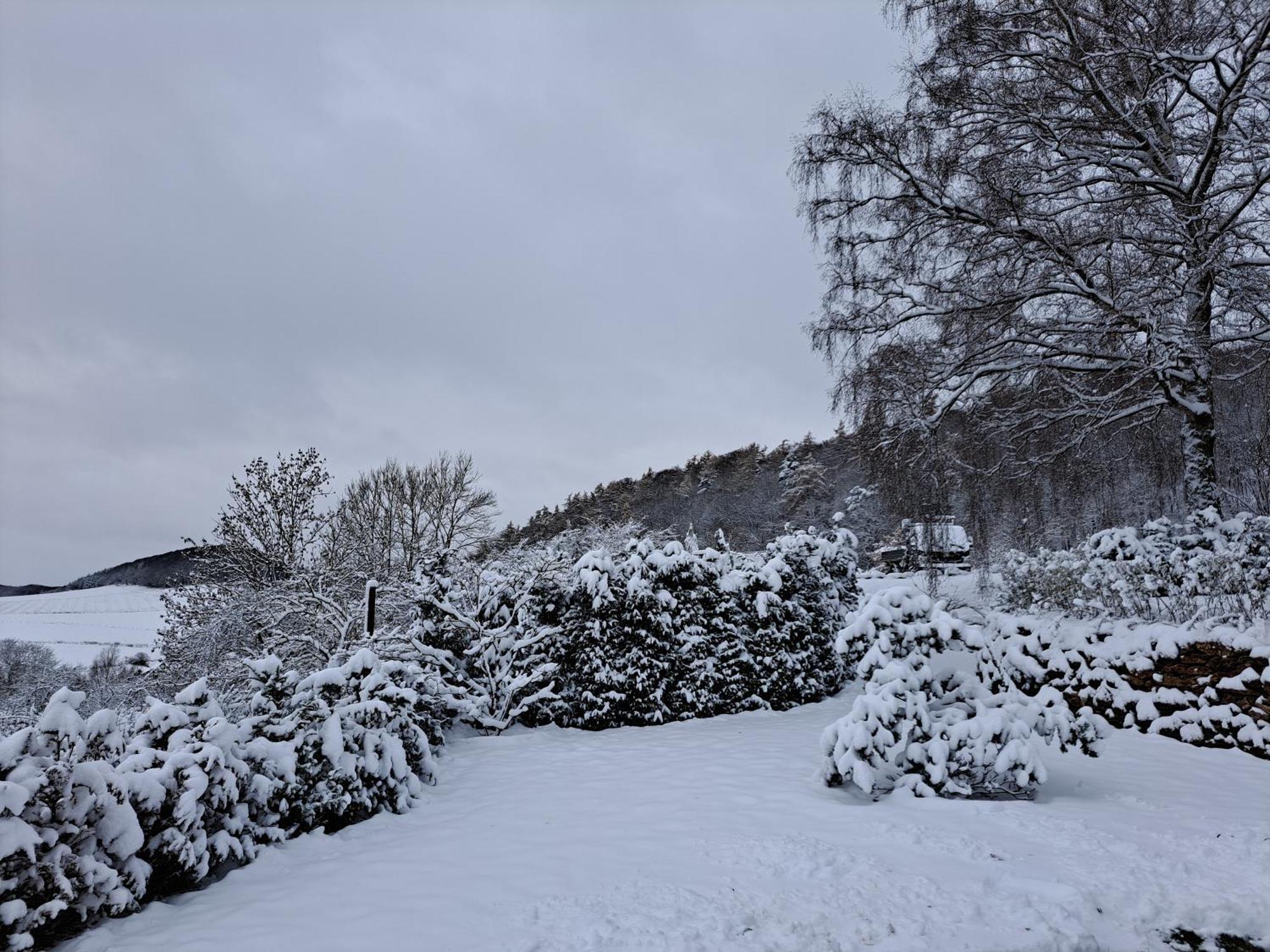 Sauerland-Tinyworld - Ihr Tiny Ferienhaus Im Sauerland Am Diemelsee Eksteriør billede