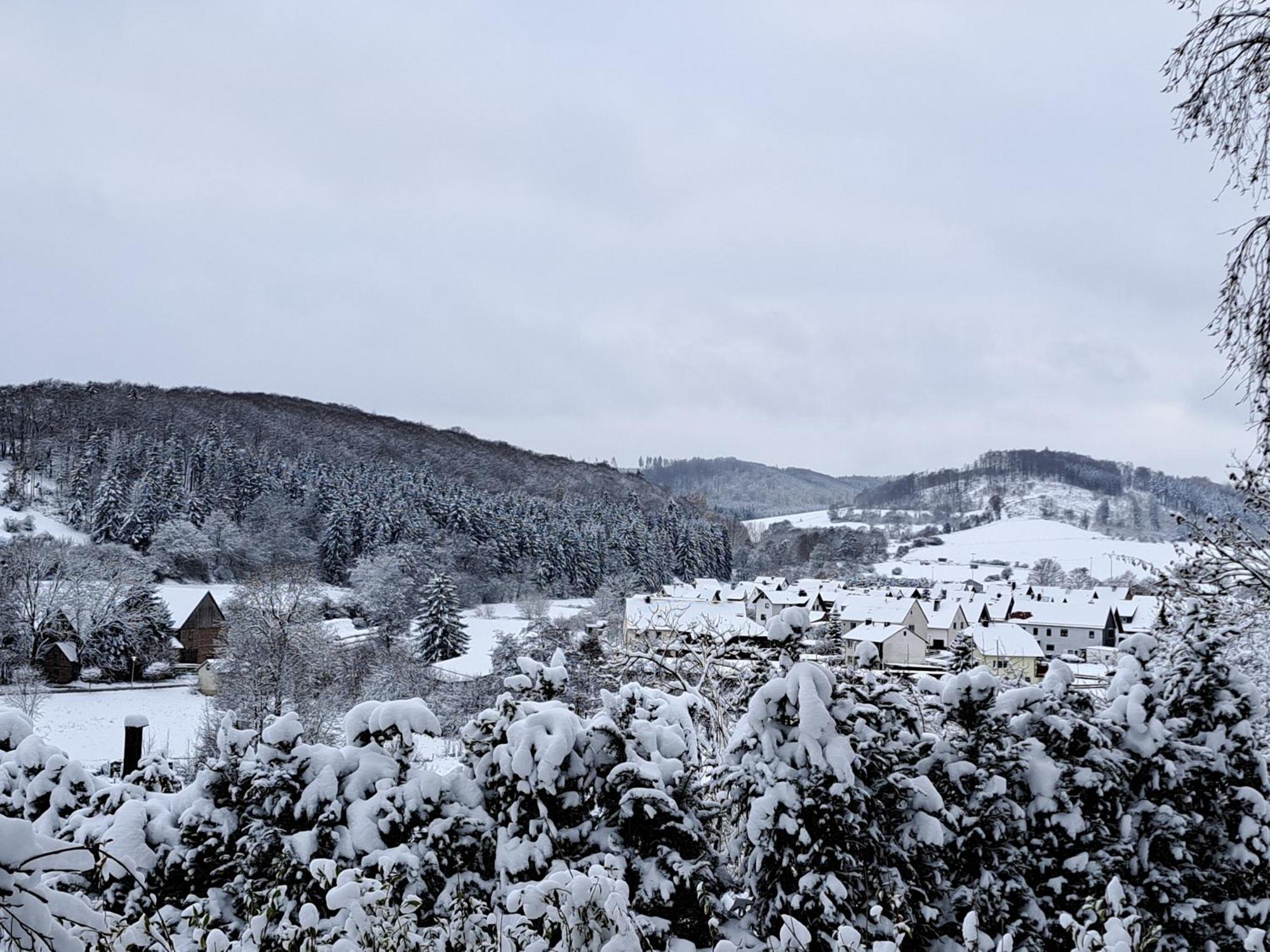 Sauerland-Tinyworld - Ihr Tiny Ferienhaus Im Sauerland Am Diemelsee Eksteriør billede