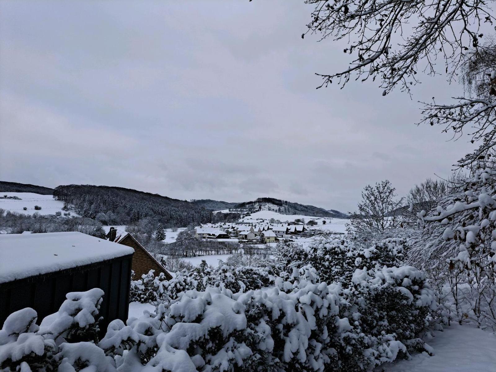 Sauerland-Tinyworld - Ihr Tiny Ferienhaus Im Sauerland Am Diemelsee Eksteriør billede