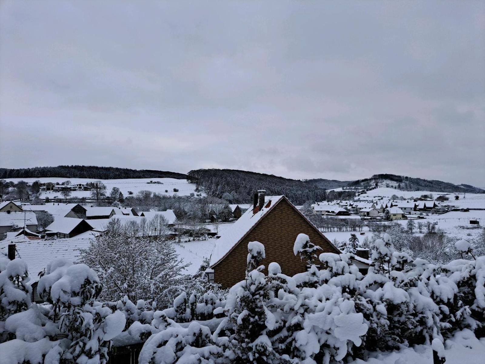 Sauerland-Tinyworld - Ihr Tiny Ferienhaus Im Sauerland Am Diemelsee Eksteriør billede