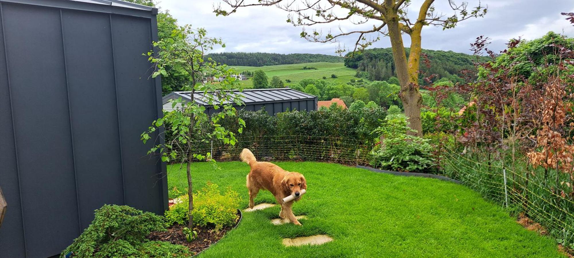 Sauerland-Tinyworld - Ihr Tiny Ferienhaus Im Sauerland Am Diemelsee Eksteriør billede