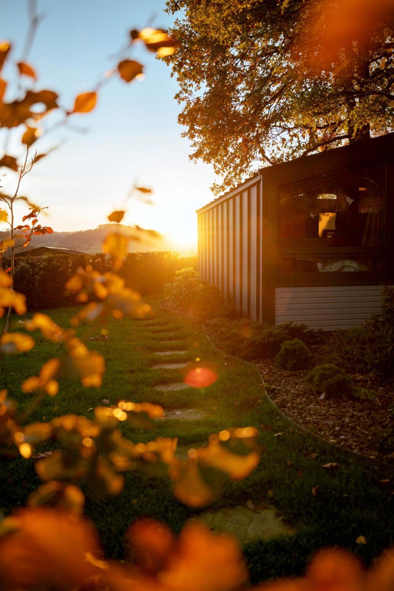 Sauerland-Tinyworld - Ihr Tiny Ferienhaus Im Sauerland Am Diemelsee Eksteriør billede
