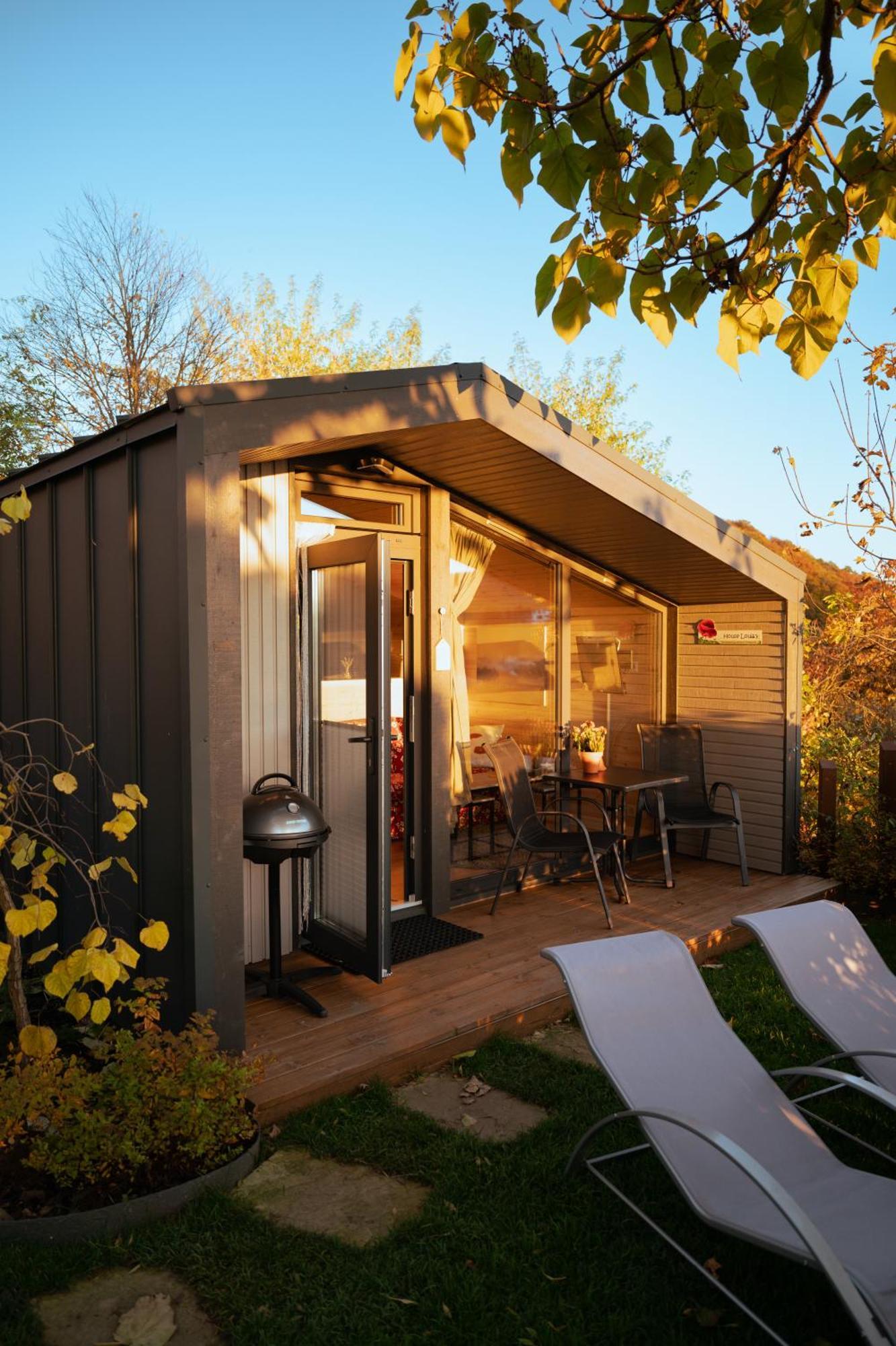 Sauerland-Tinyworld - Ihr Tiny Ferienhaus Im Sauerland Am Diemelsee Eksteriør billede