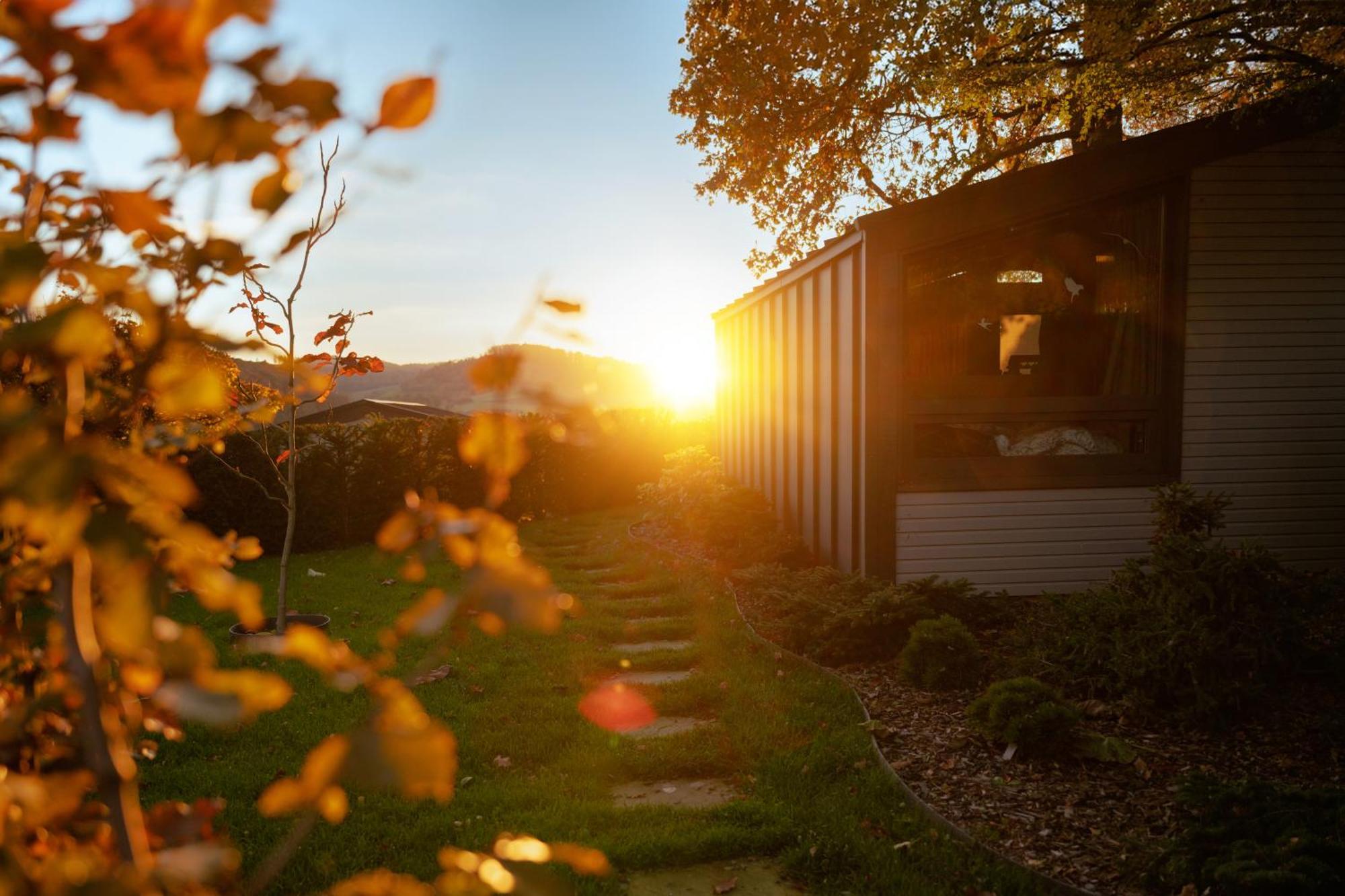 Sauerland-Tinyworld - Ihr Tiny Ferienhaus Im Sauerland Am Diemelsee Eksteriør billede