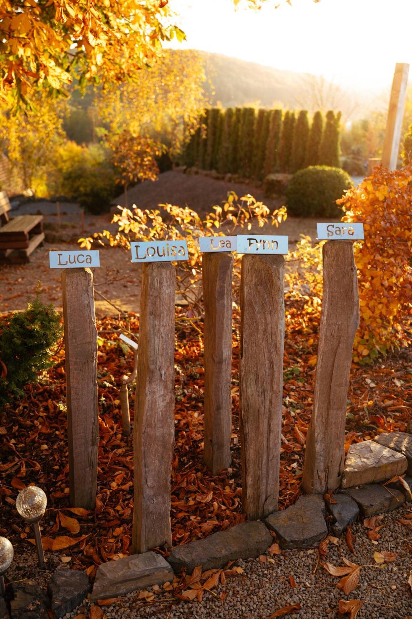 Sauerland-Tinyworld - Ihr Tiny Ferienhaus Im Sauerland Am Diemelsee Eksteriør billede