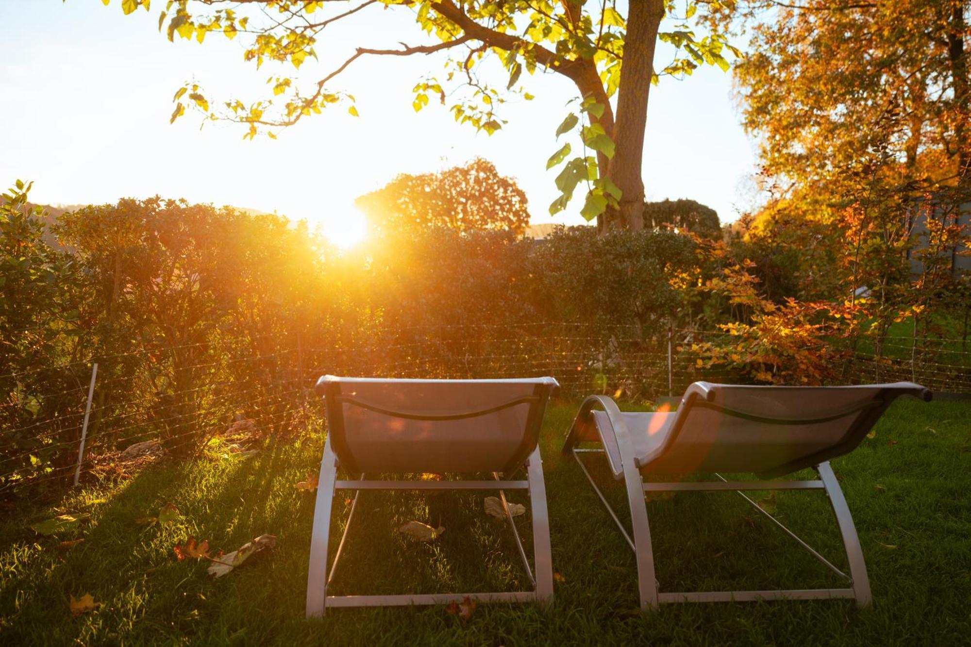 Sauerland-Tinyworld - Ihr Tiny Ferienhaus Im Sauerland Am Diemelsee Eksteriør billede