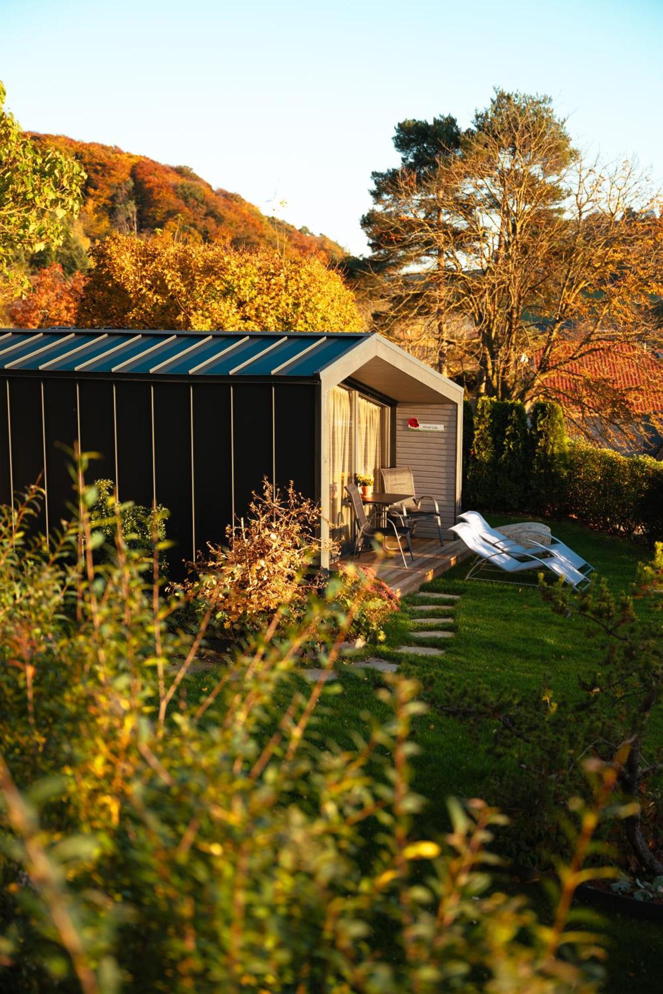 Sauerland-Tinyworld - Ihr Tiny Ferienhaus Im Sauerland Am Diemelsee Eksteriør billede