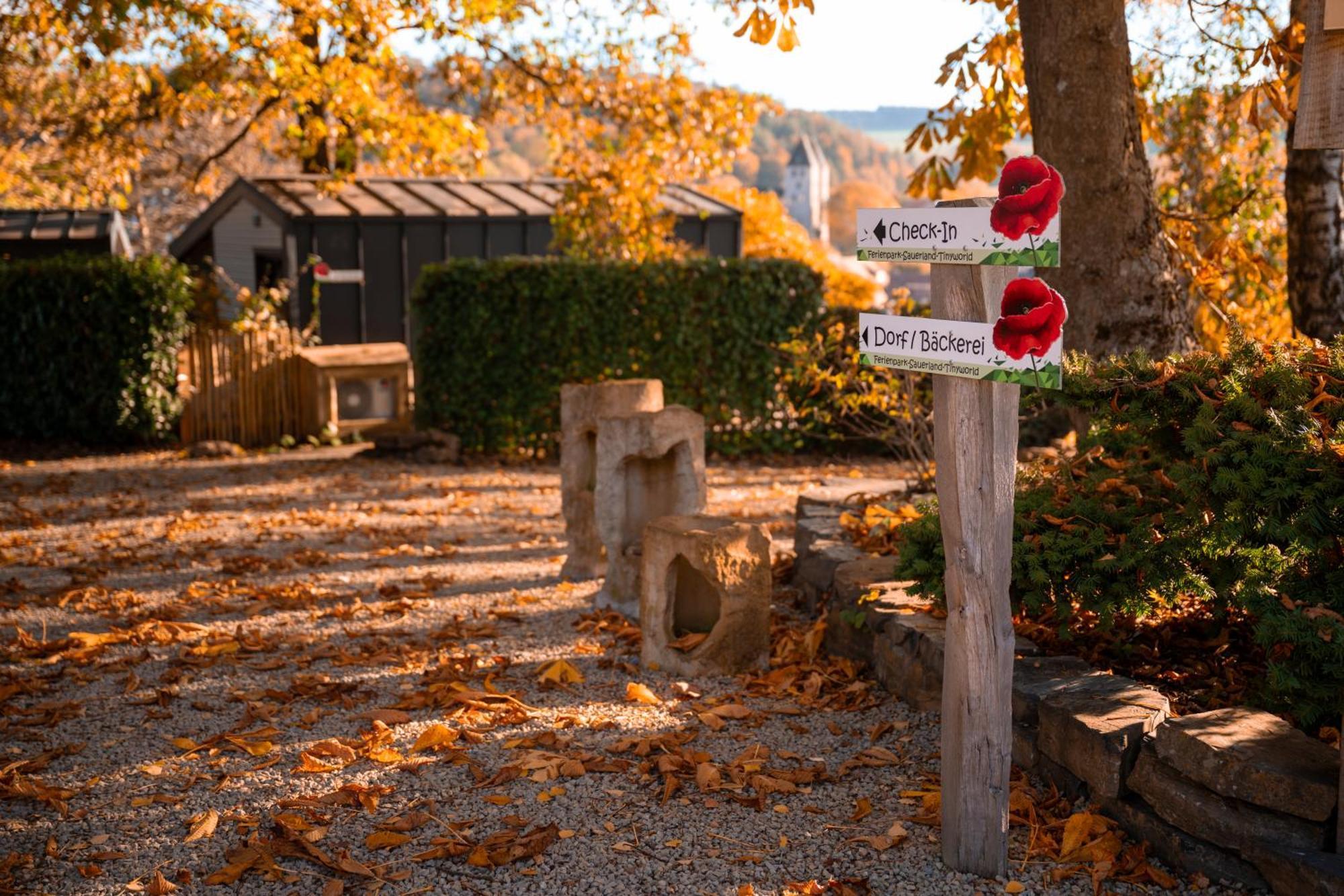Sauerland-Tinyworld - Ihr Tiny Ferienhaus Im Sauerland Am Diemelsee Eksteriør billede