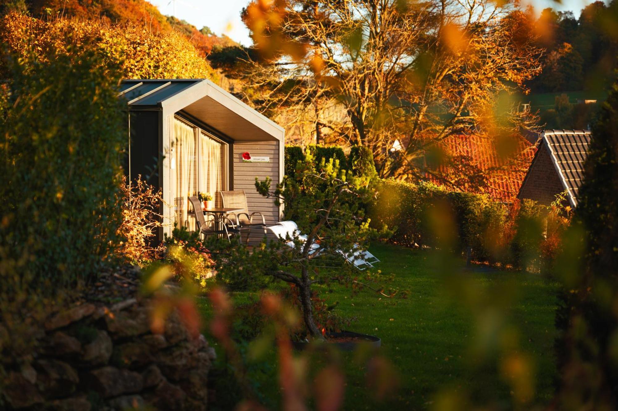 Sauerland-Tinyworld - Ihr Tiny Ferienhaus Im Sauerland Am Diemelsee Eksteriør billede