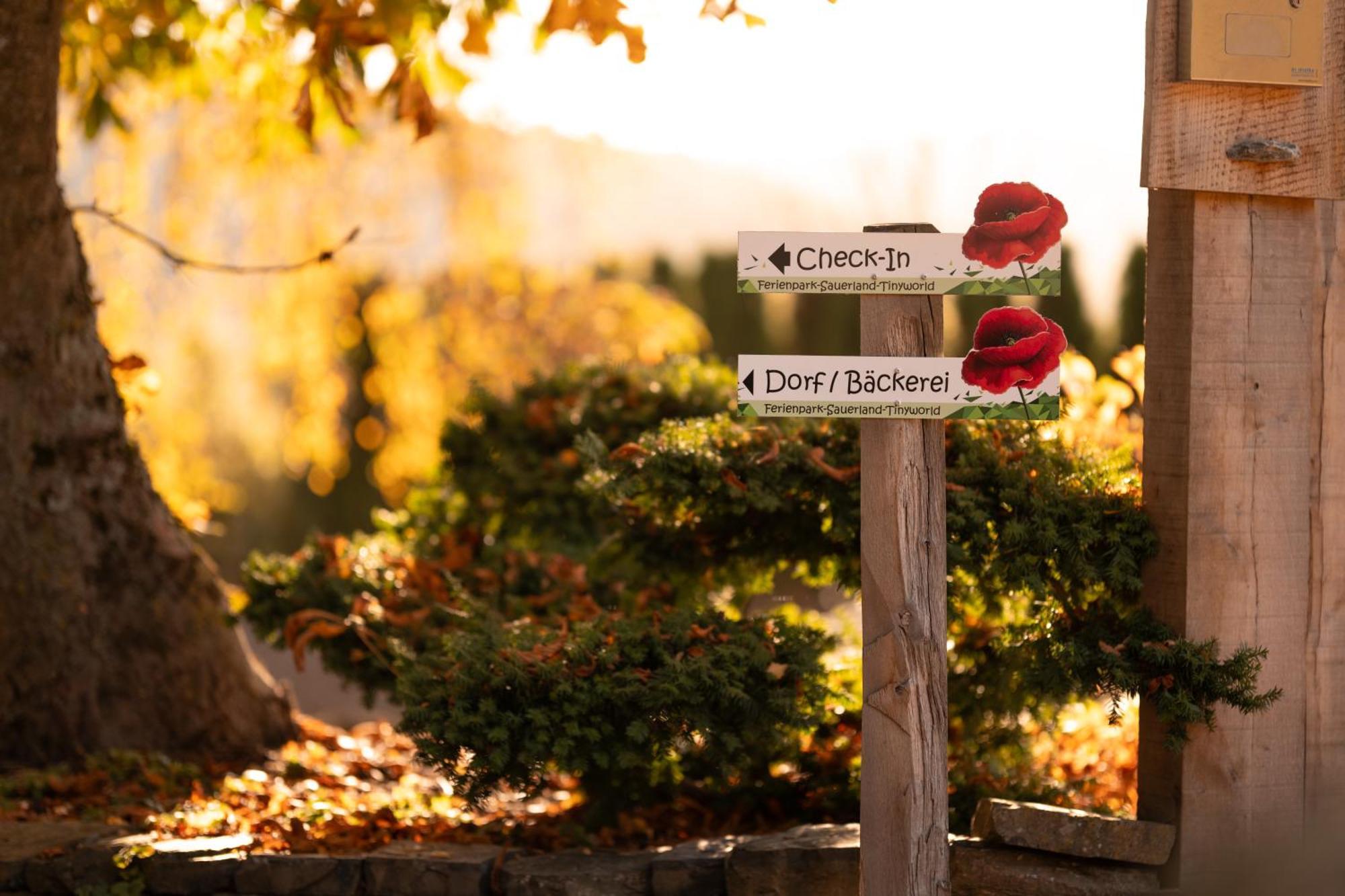 Sauerland-Tinyworld - Ihr Tiny Ferienhaus Im Sauerland Am Diemelsee Eksteriør billede