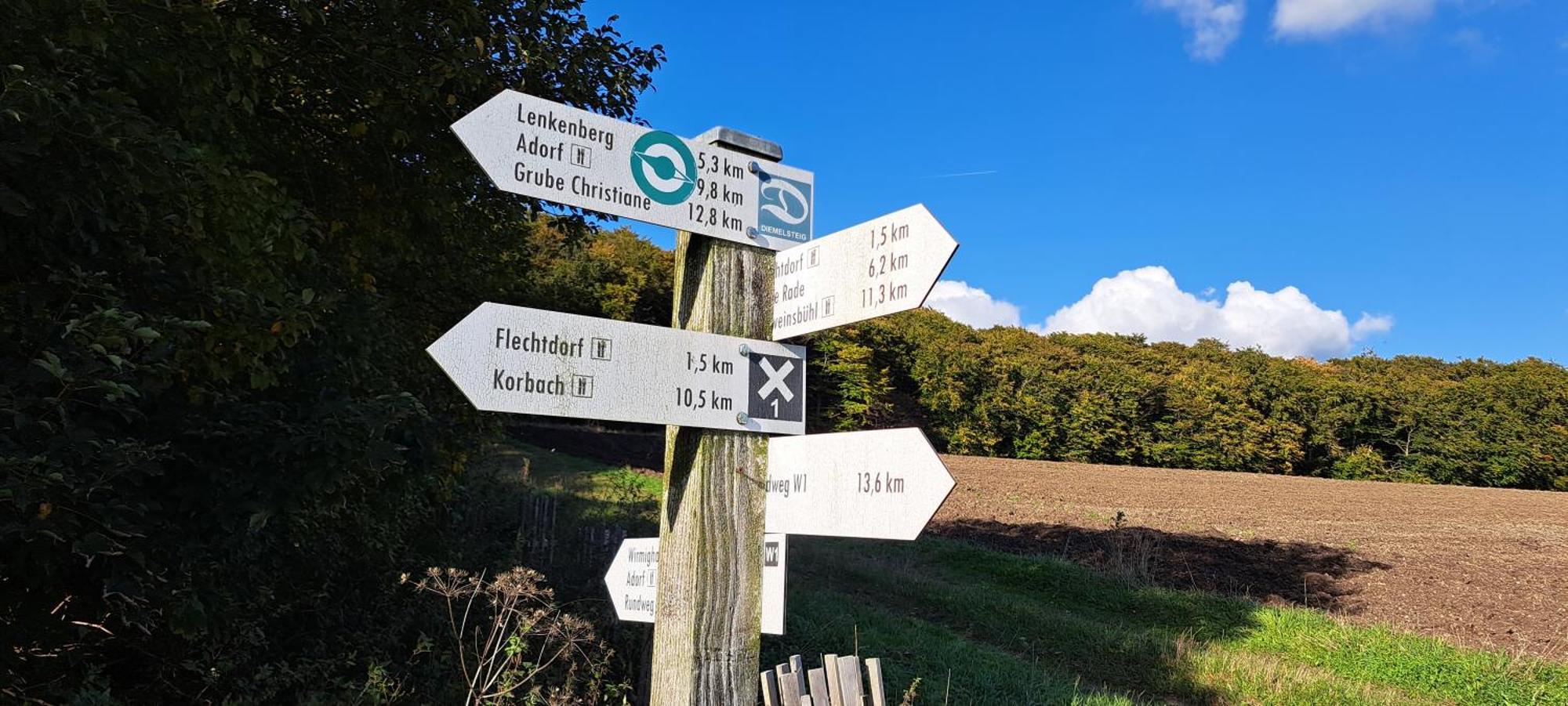 Sauerland-Tinyworld - Ihr Tiny Ferienhaus Im Sauerland Am Diemelsee Eksteriør billede