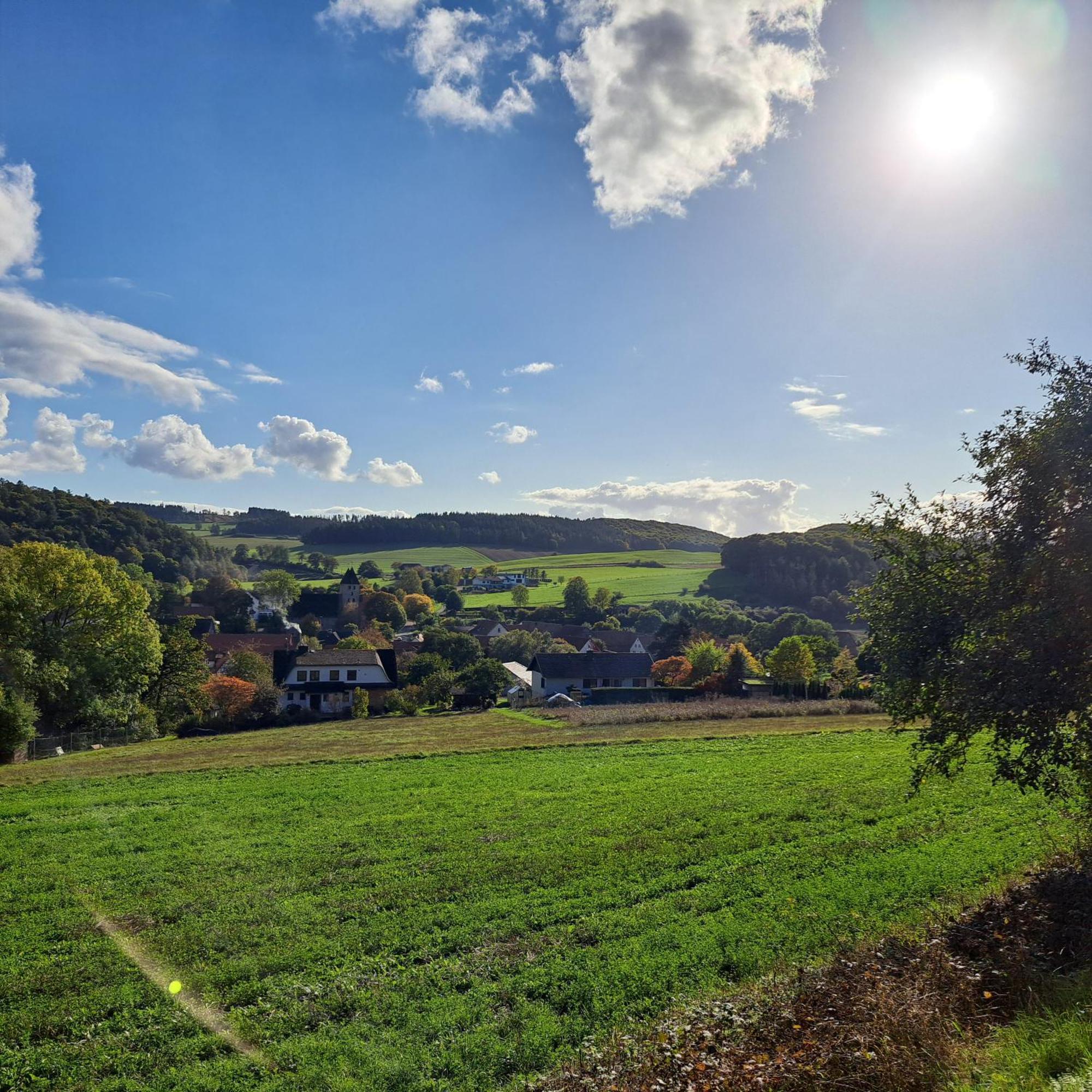 Sauerland-Tinyworld - Ihr Tiny Ferienhaus Im Sauerland Am Diemelsee Eksteriør billede