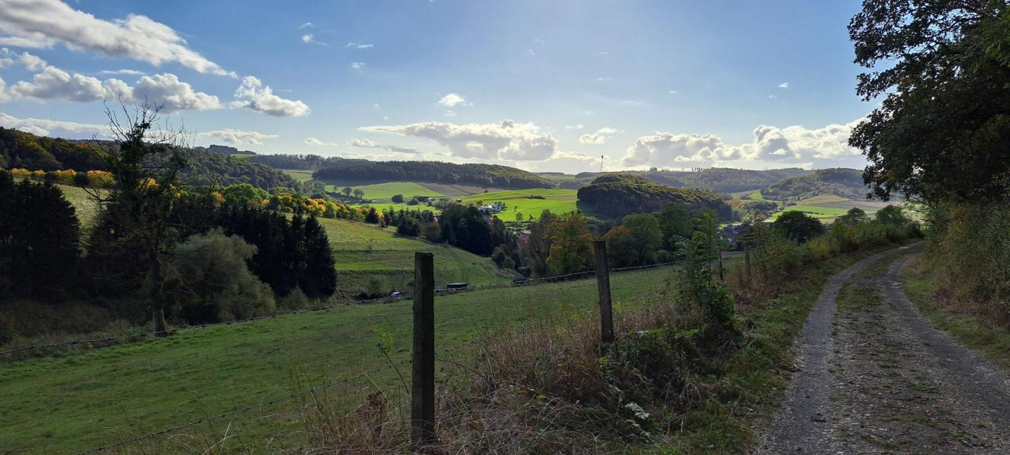 Sauerland-Tinyworld - Ihr Tiny Ferienhaus Im Sauerland Am Diemelsee Eksteriør billede